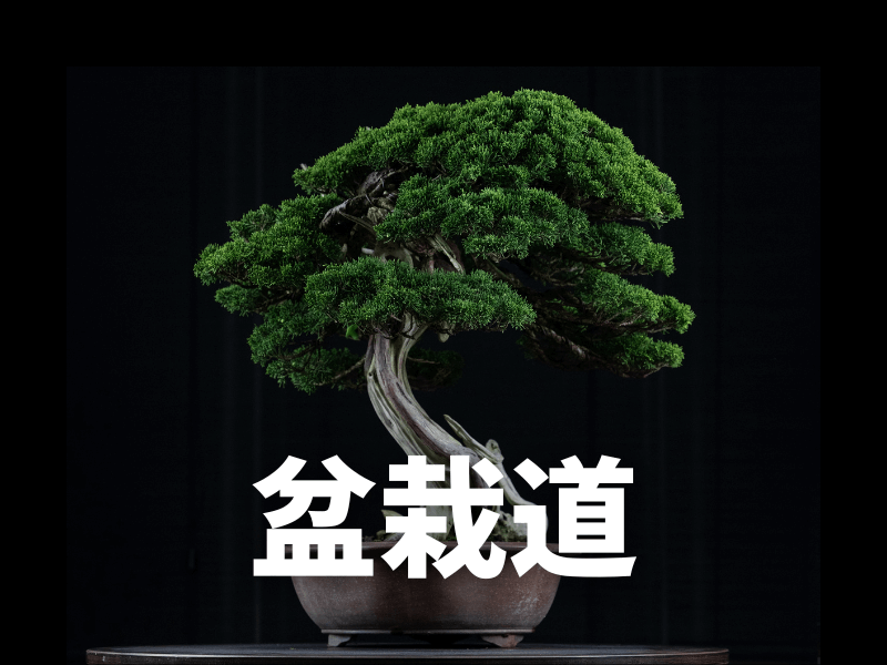 メニュー4