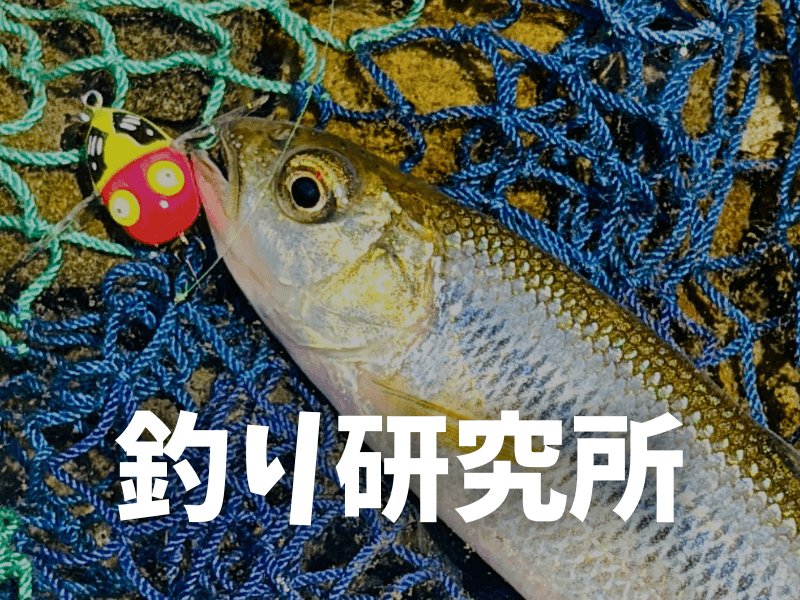 メニュー2